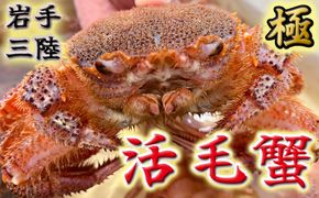 【令和8年発送】岩手三陸産【活毛蟹】| 300g×2【2026年2月～4月発送】 新鮮の極 | 毛がに 毛かに【0tsuchi01289】【15】