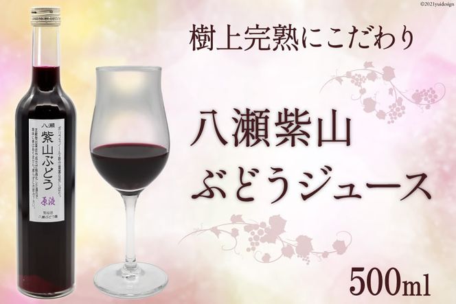 樹上完熟にこだわり 八瀬紫山 ぶどうジュース 500ml [八瀬ぶどう