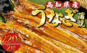 高知県産養殖うなぎ蒲焼き 2尾(合計約440g) ss-0043