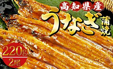 高知県産養殖うなぎ蒲焼き 2尾(合計約440g) ss-0043