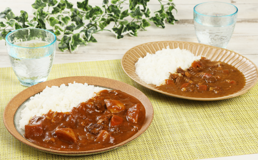 航空自衛隊 築城基地 名物 隊員食堂 カレー (中辛 2個 + 牛すじ 3個)《築上町》【NPO法人築上町観光協会】 レトルトカレー [ABAX001]