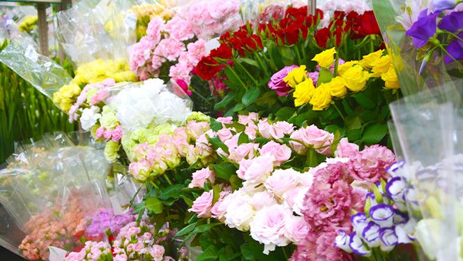 季節の寄せかご（中） 花 お花 フラワー 誕生日 プレゼント ギフト 贈り物 父の日 母の日 [AS01-NT]