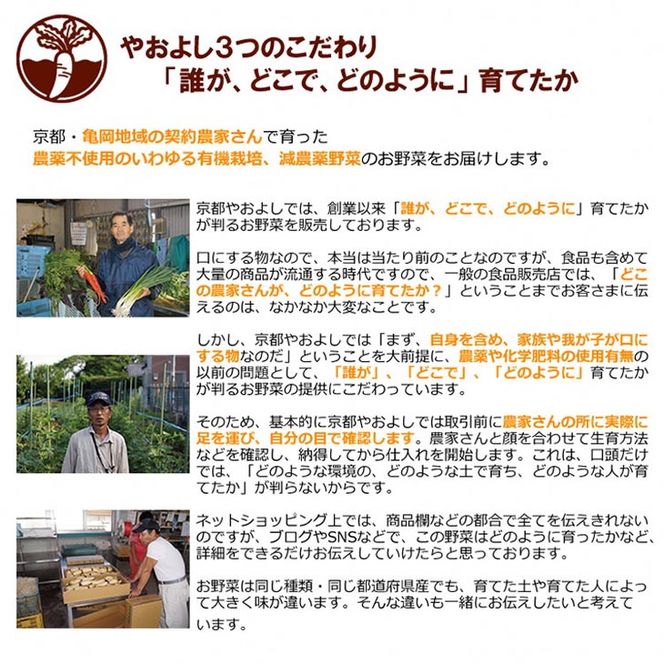 亀岡産 野菜詰め合わせ【定期便】合計12回お届け　有機野菜・京野菜の『京都やおよし』オーガニック 有機JAS 栽培期間農薬不使用 減農薬 野菜 ※着日指定不可 ※北海道・沖縄・離島への配送不可