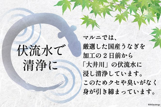 『定期便』国産 うなぎ蒲焼・2尾セット 全12回 [マルニうなぎ加工 静岡県 吉田町 22424423] 鰻 ウナギ 蒲焼き うなぎ蒲焼き 鰻蒲焼き unagi