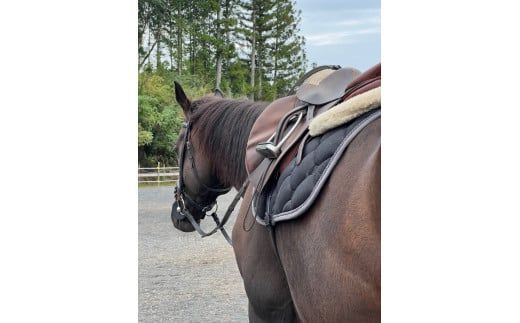 体験乗馬 1回 (20分) 乗馬体験 馬 東海 岐阜県 