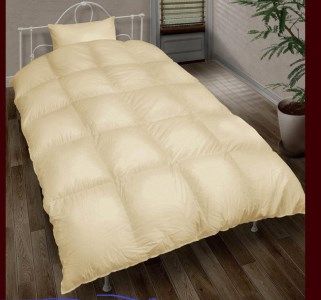 春・秋用羽毛合い掛け布団 シングルサイズ150×210 ＊ホック付き二枚 