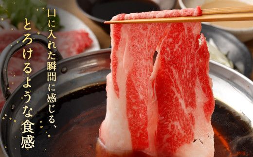 ＜霜降り すきしゃぶ 300g×2＞翌月末迄に順次出荷【c1174_ya】 肩ロース スライス