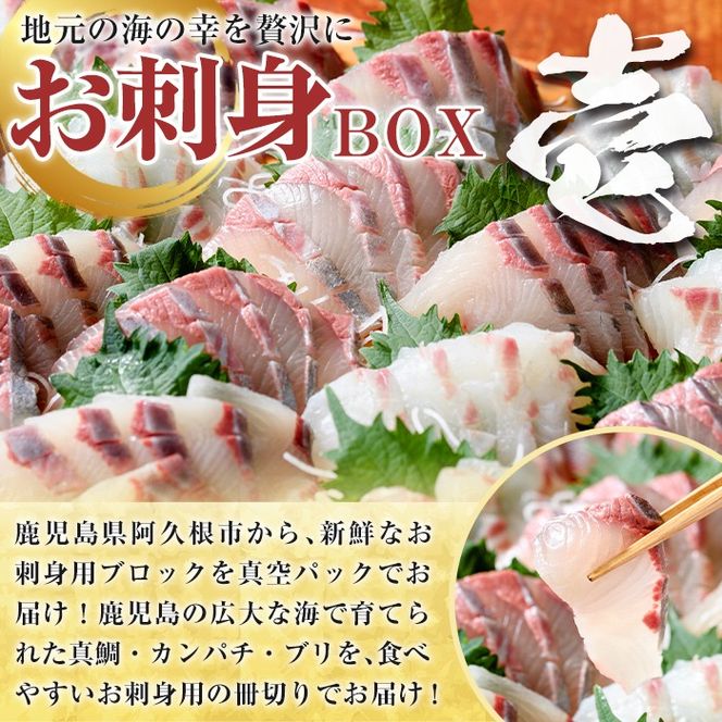 ＜定期便・全3回＞海の幸満喫定期便 魚貝 魚介 海産物 旬 お魚 冷蔵 刺身 真鯛 タイ カンパチ ブリ 鰤 鮮魚 焼き魚 たこ ゆでだこ タコ 蛸 煮つけ 定期便 詰め合わせ セット お楽しみ 海の幸【さるがく水産】akn028-32