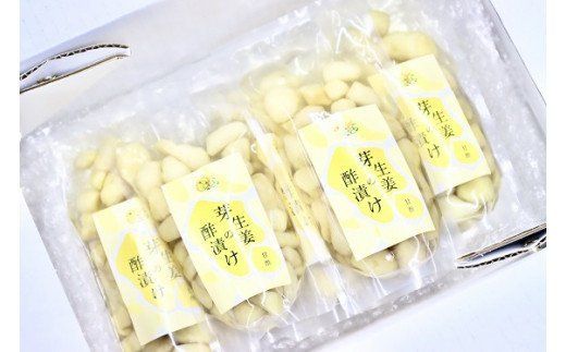 芽生姜の甘酢漬け　5パック