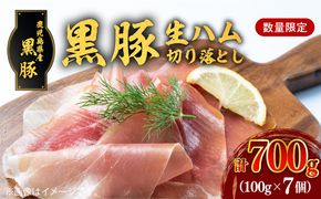 【毎月数量限定】黒豚生ハム切り落とし 100gx7P　 K086-025