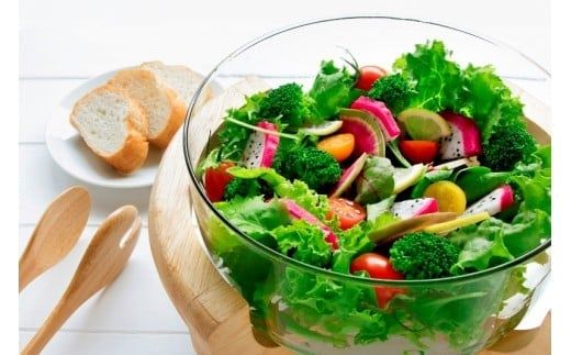 くにさき太陽のレタス4月から半年間定期便/計6回発送_1686R