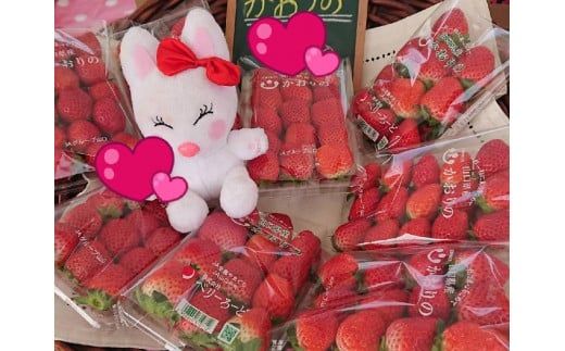 A027 ご褒美＊フルーツ定期便（12回）