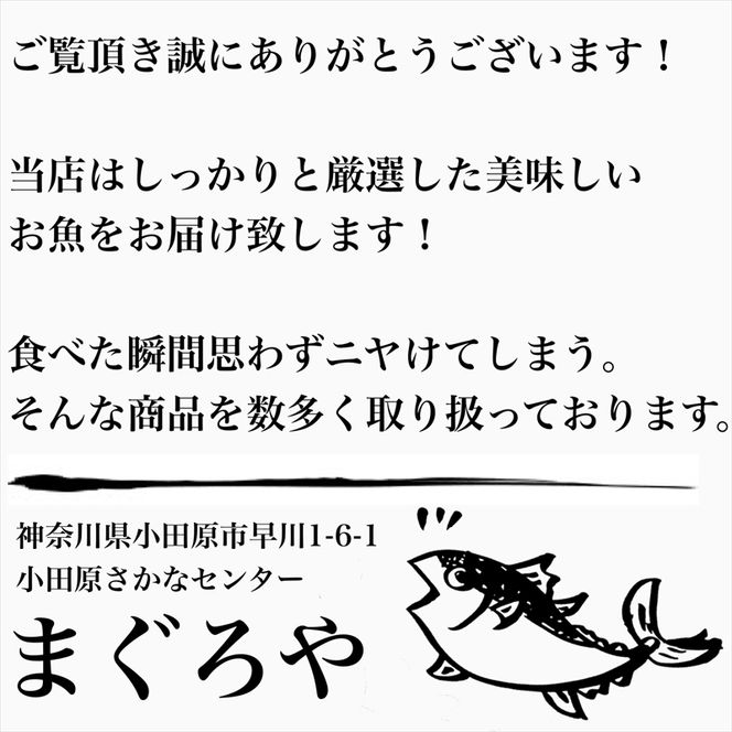 104-1503　王様の塩辛 食べきり小パック 2枚【海鮮 いかの塩辛 珍味 お取り寄せ 御中元 お中元 お歳暮 父の日 母の日 贈り物 日本酒 焼酎】【ふるさと納税】【神奈川県小田原市】