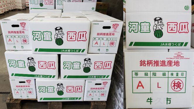 《 先行予約 》 牛久市産 河童 西瓜 L 2玉 ( 約 12kg ) 【 2026年6月中旬発送開始 】 果物 フルーツ Lサイズ スイカ すいか 期間限定 旬 国産 アイス シャーベット [DV008us]