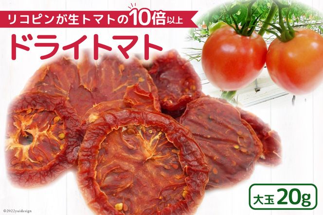 yΐ쌧BuzY hCg}g  v20g Y g}g [AVbv}g ΐ쌧 Bu 38600541] Ƃ܂    ܂