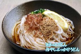 神埼めんセット 20入 【麺 そうめん ささっとうどん にゅうめん 即席ラーメン 特産品】(H014111)