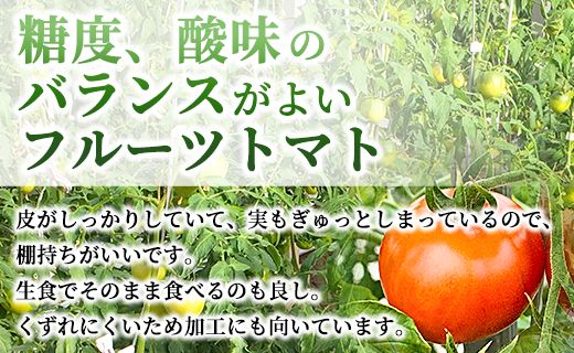 高品質！歩のフルーツトマト 約2kg 箱入り 先行予約 - トマト フルーツトマト 野菜 贈り物 箱入り ga-0005