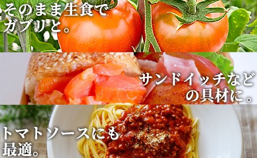 高品質！歩のフルーツトマト 約2kg 箱入り 先行予約 - トマト フルーツトマト 野菜 贈り物 箱入り ga-0005