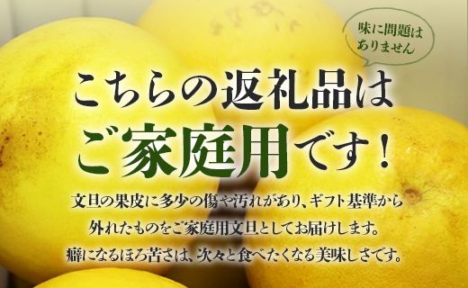 文旦５ｋｇ 文旦 家庭用 高知 高知県 土佐文旦 (2L～4Lサイズ) 高知 先行予約 期間限定 間城農園 - 柑橘類 果物 くだもの フルーツ ぶんたん ブンタン おいしい 送料無料 高知県 香南市 ms-0039