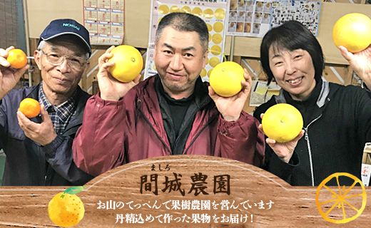 土佐文旦 5kg 家庭用 (2L～4Lサイズ) 先行予約 期間限定 間城農園 - 柑橘類 果物 くだもの フルーツ ぶんたん ブンタン 送料無料 高知県 香南市 ms-0079