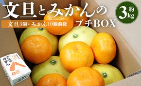 文旦とみかんのプチBOX 約3kg - 果物 くだもの フルーツ 柑橘類 ぶんたん ブンタン ミカン 詰め合わせ つめあわせ セット 食べ比べ お楽しみ おいしい 特産品 ms-0040