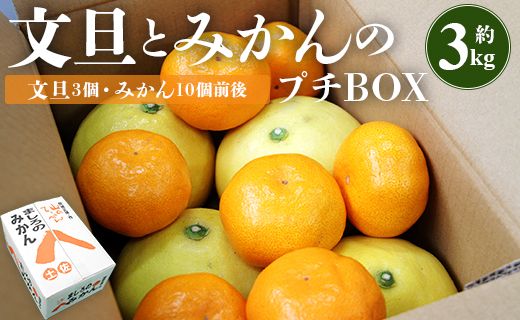 文旦とみかんのプチBOX 約3kg - 果物 くだもの フルーツ 柑橘類 ぶんたん ブンタン ミカン 詰め合わせ つめあわせ セット 食べ比べ お楽しみ おいしい 特産品 ms-0040