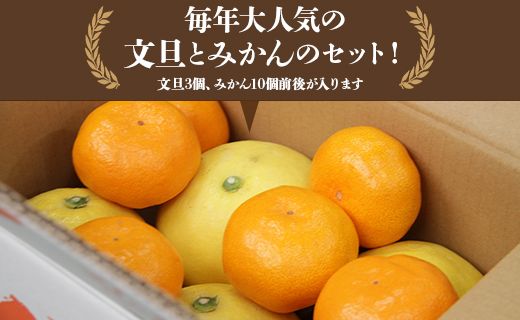 文旦とみかんのプチBOX 約3kg - 果物 くだもの フルーツ 柑橘類 ぶんたん ブンタン ミカン 詰め合わせ つめあわせ セット 食べ比べ お楽しみ おいしい 特産品 ms-0040