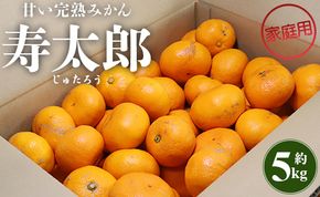 みかん 5kg 寿太郎 家庭用 間城農園 甘い完熟みかん 寿太郎 (家庭用) 5kg - フルーツ 家庭用 訳あり 果物 柑橘 みかん ms-0043