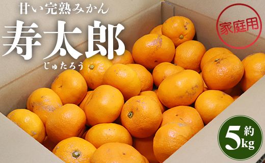 みかん 5kg 寿太郎 家庭用 間城農園 甘い完熟みかん 寿太郎 (家庭用) 5kg - フルーツ 家庭用 訳あり 果物 柑橘 みかん ms-0043