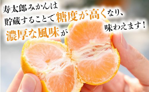 みかん 5kg 寿太郎 家庭用 間城農園 甘い完熟みかん 寿太郎
