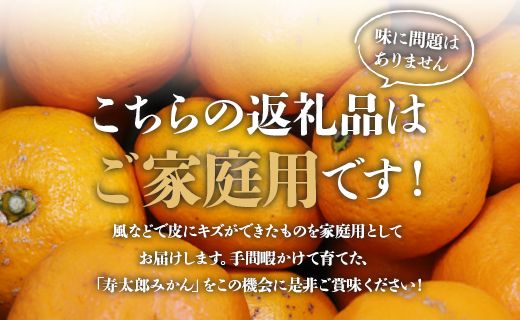 みかんです。 みかん 温州みかん 産地厳選 風のいたずら ちょっと訳あり 大き