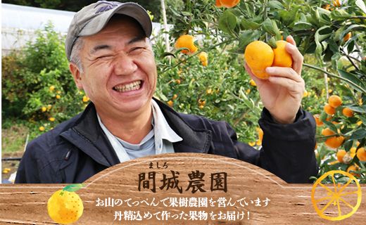 山のてっぺん間城農園のみかん3kg - フルーツ 果物 柑橘 みかん フルーツ 柑橘 期間限定 ms-0083