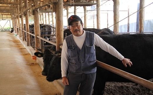 E-61 おおいた豊美牛ステーキセット（計560g）