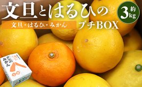 文旦 高知 先行予約 間城農園 ちょこっと食べたい方におすすめ「文旦とはるひのプチBOX」- フルーツ 果物 くだもの ぶんたん ブンタン ぼんたん ザボン 柑橘 蜜柑 ミカン 数量限定 期間限定 季節限定 送料無料 高知県 香南市 常温 ms-0036