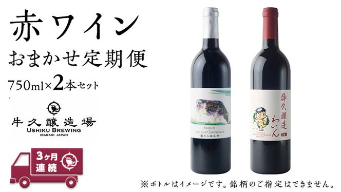 y錧vszy 3A z ԃC ܂  2{Zbg ݔ 錧Y v I 750ml × 2{  C CD S ㋉ 蕨 Mtg lߍ킹 [BJ039us]