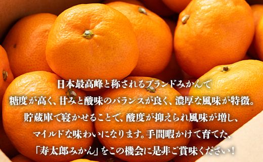 間城農園 甘い完熟みかん寿太郎(じゅたろう)3kg - 柑橘 フルーツ 果物 みかん ミカン みかん 蜜柑 ms-0046