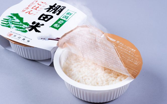 【令和7年産米】新潟県村上市岩船産 棚田米コシヒカリのパックごはん(150ｇ×12個) A4216