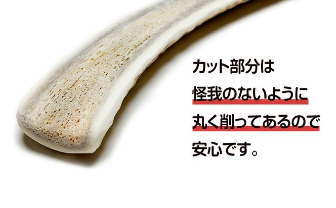 鹿の角 エゾシカ 犬のおもちゃ 『鹿角さん』 中型犬用　半割り　1本 CB031