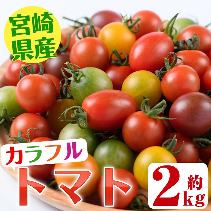 [先行予約受付中!2026年11月から順次発送予定]カラフルトマト食べ比べセット(約2kg・9品種の中から4品種以上)国産 宮崎県産 とまと 野菜 サラダ 黄色 オレンジ みどり 紫 アイコ 赤 セレブスイート[KT-2][K.TFarm]