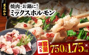 ＜容量選べる！＞焼肉・お鍋に！ミックスホルモン 750g or 1.75kg　K002-005