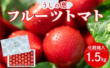 野菜ソムリエが育てた フルーツトマト 1.5kg(化粧箱入) 甘い 高知 うしの恵 - トマト 数量限定 旬 惣菜 野菜 フルーツ トマト とまと 産地直送 料理 完熟 甘い あまい フレッシュ さっぱり 酸味 ギフト 贈答 お礼 御礼 mj-0013