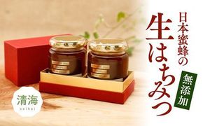 ハチミツ 日本蜜蜂はちみつセットB（はちみつ（大）160g×2本） ｜ ハチミツ パン 非加熱 無添加 愛媛