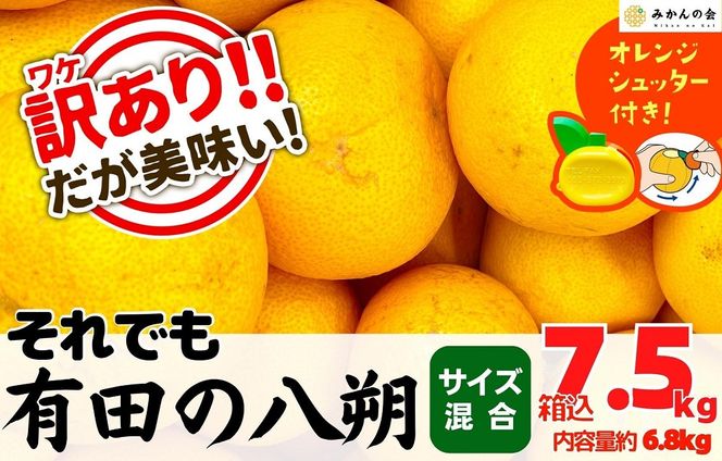 八朔 訳あり それでも 有田の八朔  (はっさく) 箱込 7.5kg (内容量約 6.8kg) サイズミックス B品 和歌山県産  産地直送【おまけ付き】【みかんの会】AX241