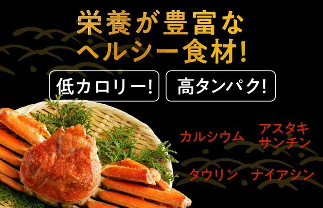 099H2280 殻剥き不要 ズワイガニ 棒肉 ポーション 合計 500g（10本以上）特大サイズ 加熱用