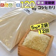 【定期便】令和5年産 米 10kg 12ヶ月 京都丹波産 コシヒカリ 白米＜JA京都 たわわ朝霧＞ 12回定期便 10kg（5kg×2袋）×12回 計120kg 毎月発送に合わせて精米≪緊急支援品 ふるさと納税 訳あり≫