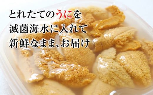 【令和8年発送先行予約】 牛乳瓶入り 生うに150g×1本～3本【2026年4月下旬～8月発送】【23】【0tsuchi00596-202410】