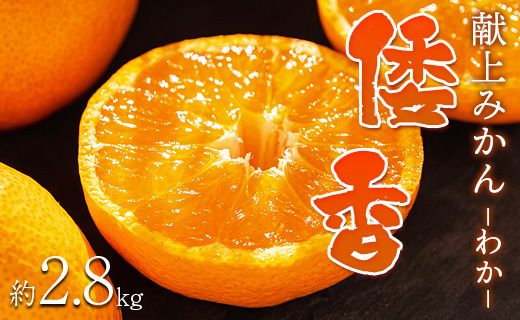 [数量限定]土佐乃かなや マルチ 献上みかん「倭香(わか)」2.8kg - 送料無料 柑橘 のし 熨斗 数量限定 配送時間指定 箱 贈答品 贈答用 プレゼント ギフト お祝い 内祝い 感謝 お礼 御礼