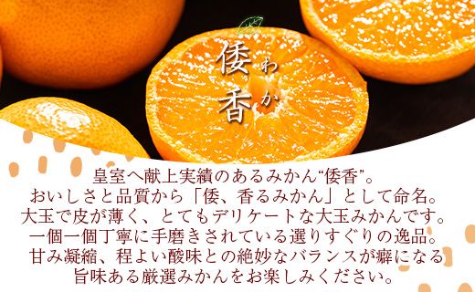 <2027年1月中旬より順次配送＞土佐乃かなや マルチ 献上みかん「倭香(わか)」2.8kg - 柑橘 数量限定 配送時間指定 箱 贈答品 贈答用 プレゼント ギフト お祝い 内祝い be-0105