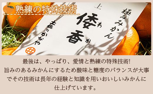 【数量限定】土佐乃かなや マルチ 献上みかん「倭香(わか)」2.8kg - 送料無料 柑橘 のし 熨斗 数量限定 配送時間指定 箱 贈答品 贈答用 プレゼント ギフト お祝い 内祝い 感謝 お礼 御礼 お歳暮 高知県 香南市 常温 be-0018