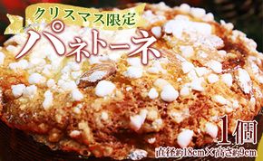 パネトーネ １個 【クリスマス限定】苺屋 X'mas 菓子パン 伝統菓子 数量限定 送料無料 高知県 香南市 常温 it-0105
